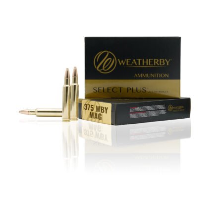 375 Weatherby Magnum
