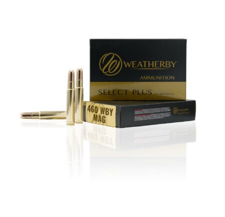 460 Weatherby Magnum