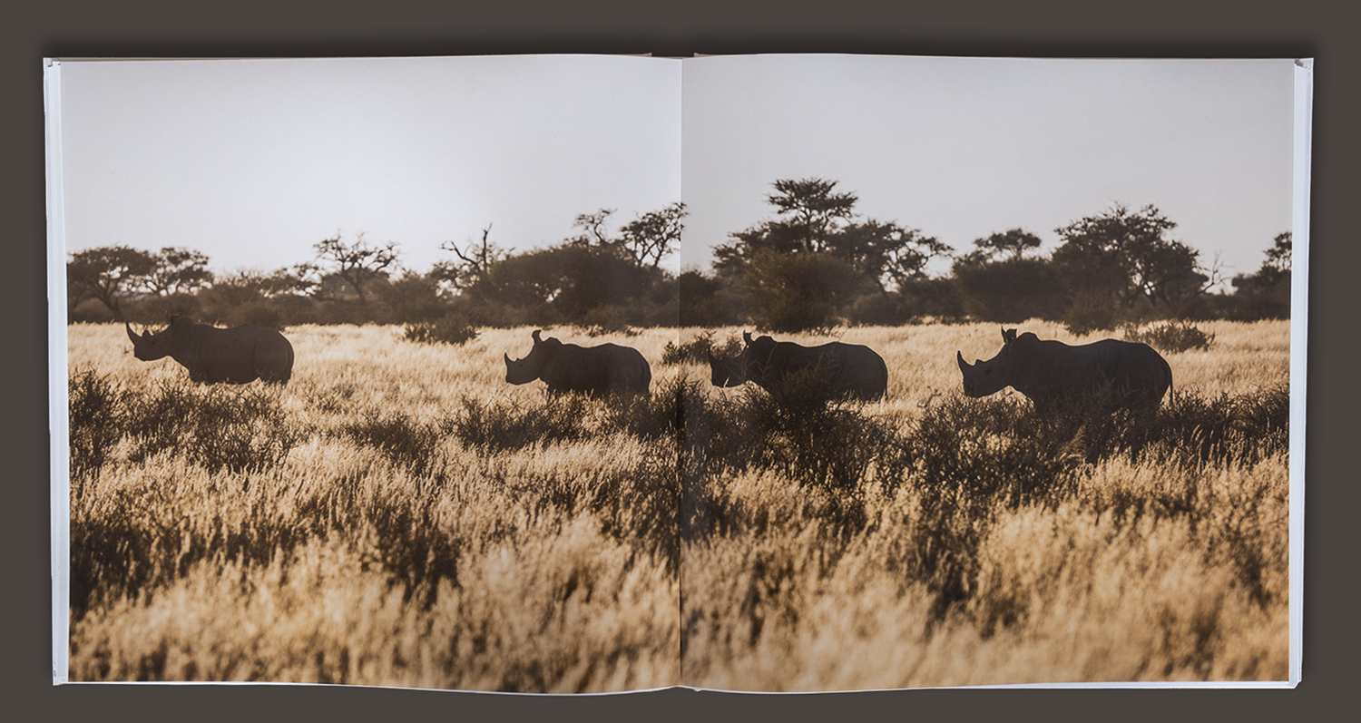 WBY_LegacyBook_rhinoSP-1500x800