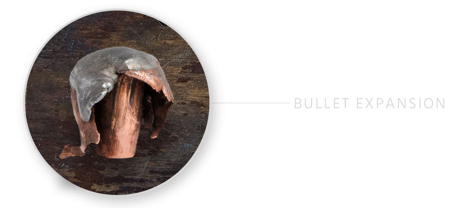 WBY_300WBY_ELDXFeature_bulletExpansion-944x415