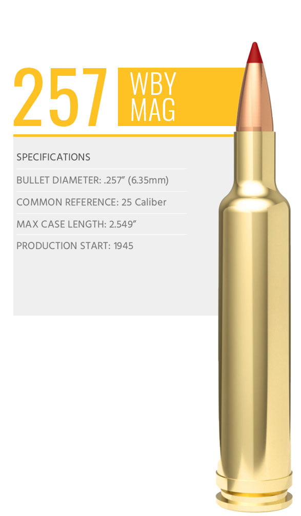 WBY_CartridgeFeature_257WBY-587x1007