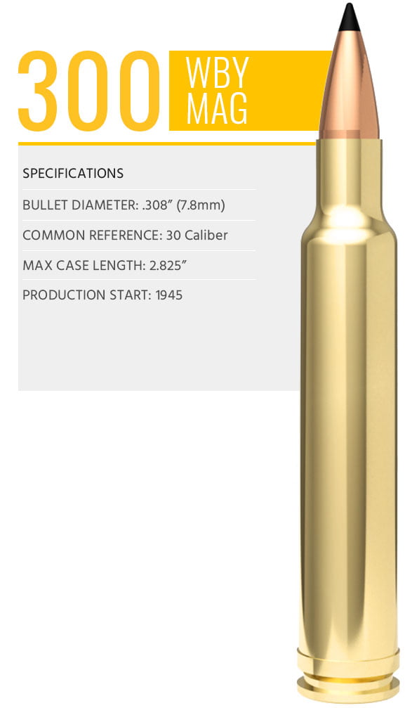 WBY_CartridgeFeature_300WBY-587x1007