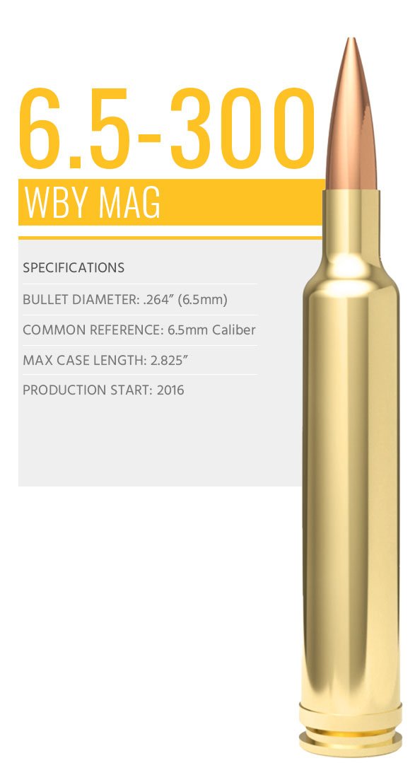 WBY_CartridgeFeature_65300WBY-587x1007