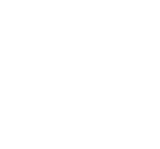 wsf_logo_reverse