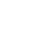 mff_logo_reverse