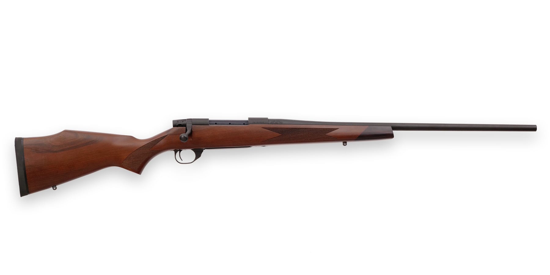 Vanguard® Sporter