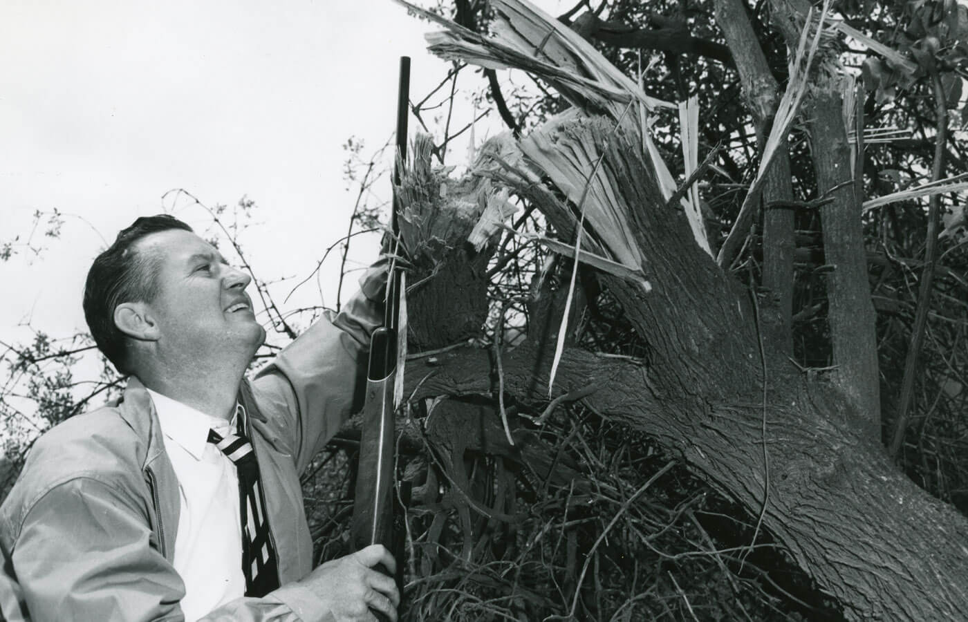 1955 Weatherby cartridges